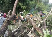 Angin Disertai Hujan Lebat, Mobil Tertimpa Pohon Tumbang dan Rusak Atap Rumah Warga di Nagari Sungailansek