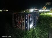 Mobil Pick Up Membawa Ayam Terguling di Jalan Lintas Sumatera Gunung Medan