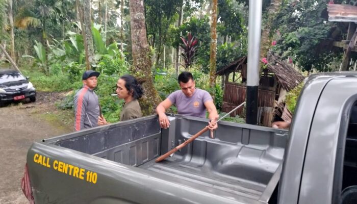Kasus Gadis Tewas Ditembak di Sawah Terungkap, Ini Alasan Pelaku Menembak Korban!