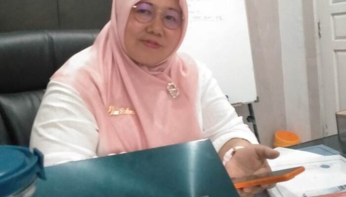 Jalan Menuju SDN 38 Padang XI Punggasan Rusak, Bupati Intruksikan Dinas PUPR Perbaiki