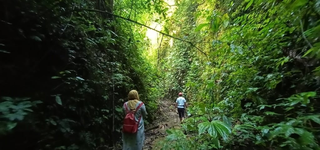 Salah satu daerah kawasan hutan di Sumbar