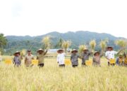 Solok Selatan Tambah Pengadaan Alsintan untuk Optimalkan Sektor Pertanian