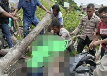 Badai Lalu Terjang Kota Padang, 1 Korban Tewas Ditimpa Pohon Tumbang