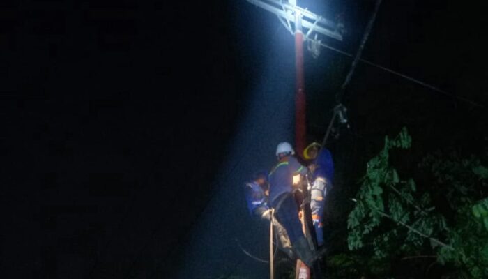Hujan Badai Terjang Daerah Pesisir Sumbar, Ribuan Gardu Distribusi PLN Terganggu