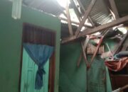 Hujan Badai di Nagari Limo Koto, Banyak Bangunan Rusak Ditimpa Pohon Kelapa