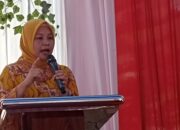 Hampir 30 Persen Ibu-Ibu di Padang Wanita Karir, Pengasuh Anak Perlu Diedukasi  Stunting