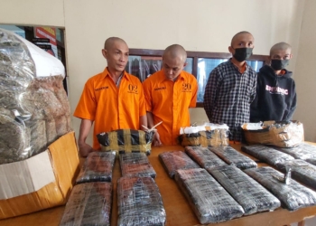 Polresta Bukittinggi Kembali Gagalkan Pengiriman 20 Paket Ganja Besar, Empat Pelaku Berasal dari Bengkulu