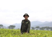 BPS Solok Selatan Masifkan Kesiapan Sensus Pertanian 2023