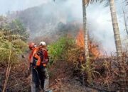 Sumbar Mulai Antisipasi Kebakaran Hutan