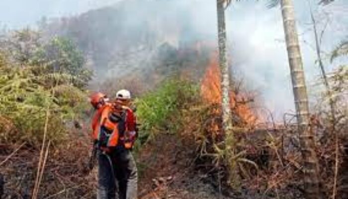 40 Hotspot Terpantau di Wilayah Sumbar