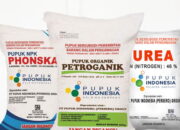 Petani Diminta Waspada Pupuk Tiruan Menjelang Musim Tanam