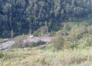 Tiga Warga Kabupaten Jayawijaya Meninggal Akibat Tanah Longsor