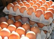Harga Telur Ayam Naik di Pasbar
