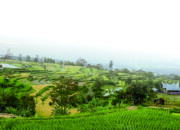 Kolaborasi Membangun Wisata Nagari