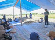 Terapkan Sistem Pertanian Organik, Hasil Panen Poktan Amor di Agam Capai 7,6 Ton per Hektare