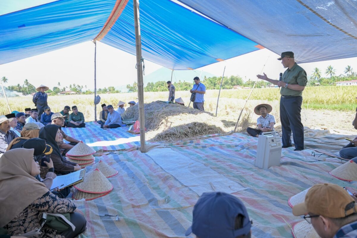 Gubernur Sumbar, Mahyeldi menghadiri panen raya padi organik yang digelar oleh Kelompok Tani Amor di Nagari Koto Tangah, Kecamatan Tilatang Kamang, Kabupaten Agam, Jumat (16/6). IST