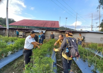 Kunjungi Nagari Sungai Abu, Rombongan Asal Jepang Terpesona Eko Wisata Aie Angek dan Karang Batonggak
