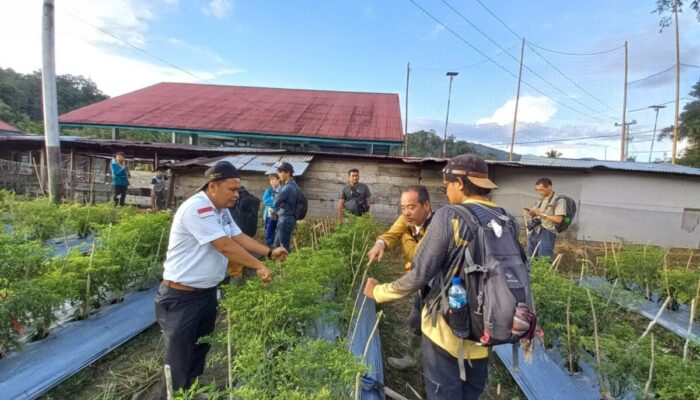Kunjungi Nagari Sungai Abu, Rombongan Asal Jepang Terpesona Eko Wisata Aie Angek dan Karang Batonggak