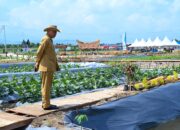 Katanya Progul Gubernur dan Wagub Tak Tepat Sasaran, Lalu…?