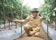 Keberpihakan pada Sektor Pertanian sebagai Upaya  Mensejahterakan Petani dan Nelayan 