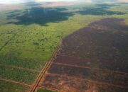 Dua Titik Panas Masih Terpantau di Wilayah Riau