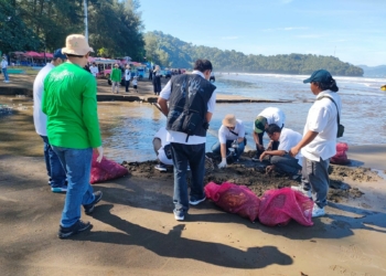1,2 Ton Sampah Terkumpul saat Relawan PLN  Bersihkan Pantai Air Manis Padang