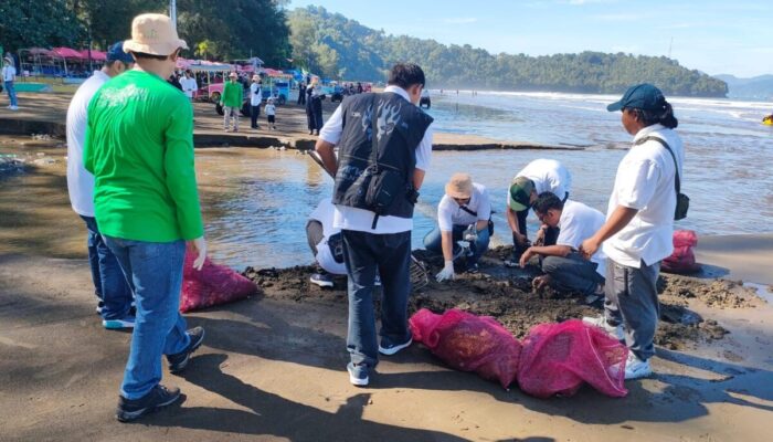 1,2 Ton Sampah Terkumpul saat Relawan PLN  Bersihkan Pantai Air Manis Padang