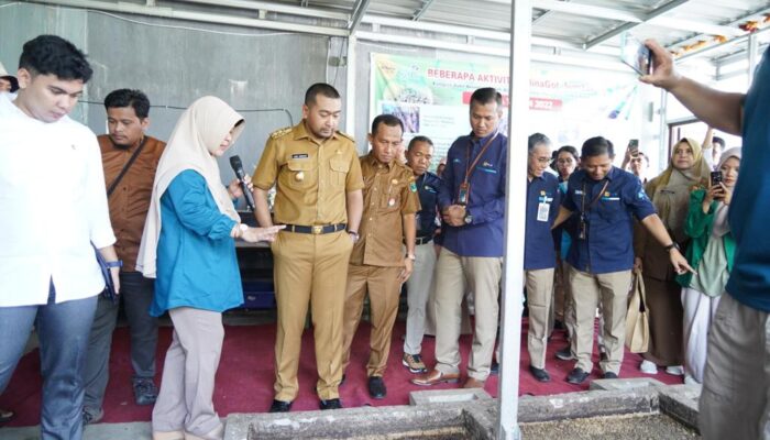 Kelompok Usaha BSF MinaGot Binaan PLN Sumbar Mampu Olah 18,6 Ton Sampah Organik