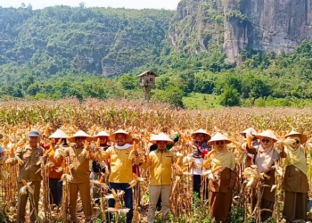 Panen Raya, Gempita Sumbar Dorong Pemerintah Daerah Serius Manfaatkan Lahan Terlantar