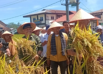Hadiri Panen Padi di Agam, Korwil Gempita Sumbar Beberkan Masalah Pengembangan Budidadaya Pertanian Organik