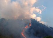 Kebakaran Lahan di Kabupaten Dairi, Sumatera Utara, Api Sulit Dikendalikan