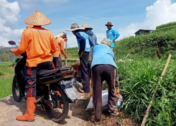 Sambut Idul Adha, Warga Jorong di Nagari Batipuh Ateh Tanah Datar Goro Bersama Bersihkan Jalan