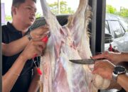 Pegadaian Qurban, Bentuk Syukur dan Berbagi Berkah pada Masyarakat