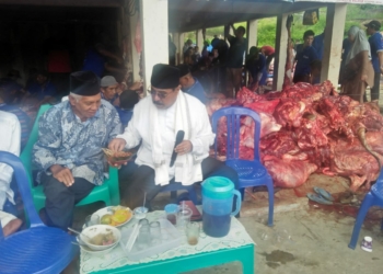 Pulang Kampung ke Aur Malintang, Haji Sagi Berkurban 35 Ekor Sapi dengan 3.500 Kupon