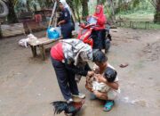Lika Liku Bidan Nagari, Dimusuhi Dukun, Dibayar Pakai Beras, Hingga Rujuk Pasien dengan Truk