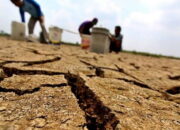 Kemarau Meteorologis Hantui Sumbar