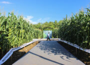 Meneropong Masa Depan Venue Penas KTNA XVI