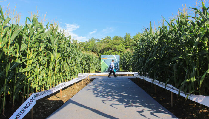 Meneropong Masa Depan Venue Penas KTNA XVI