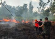 Petugas Gabungan Berhasil Padamkan 26 Hektare Lahan yang Terbakar di Kabupaten Barito Selatan