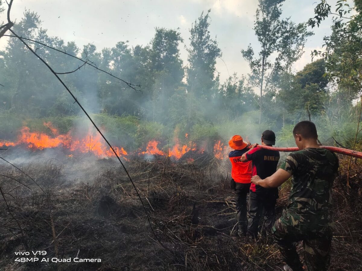Upaya pemadaman lahan terbakar di Kabupaten Barito Selatan oleh petugas gabungan, Jumat (2/6). IST