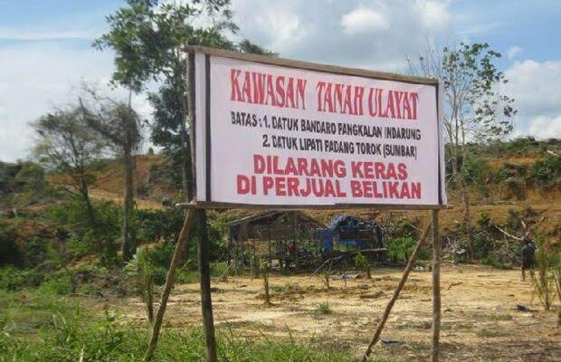 Salah satu lahan Tanah Ulayat di Sumbar