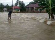 Tak Pernah Update Data-Data Kebencanaan, BPBD Pesisir Selatan Wanti-Wanti Wali Nagari