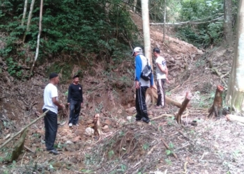 Segera Dibangun! Tim P3-TGAI Bersama Wali Nagari Labuah Panjang Survei Lokasi Pekerjaan Irigasi Sawah Lokuak Limo Poruk