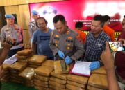 Polres Pariaman Gagalkan Peredaran 77 Paket Besar Ganja