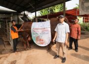 Iduladha 1444 H, TelkomGroup Distribusikan Hewan Kurban ke Seluruh Indonesia