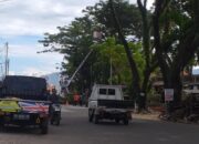 Antisipasi Timbulnya Korban, Dewan di Padang Minta Pohon Pelindung Lapuk Ditebang