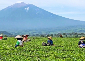 Rumuskan Master Plan Smart City, Solok Selatan Selangkah Lagi Makin Maju