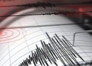 Warga NTT Rasakan Guncangan Gempa M6,0