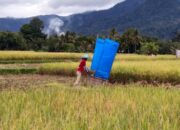 Pola Pikir Penghambat Kemajuan Pertanian Sumbar