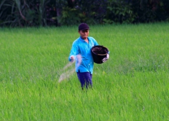 Pemprov Sumbar menyediakan 2.000 hektare lahan untuk mempercepat pelaksanaan program cetak sawah seluas tiga juta hektare di Indonesia.